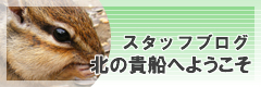 スタッフブログ